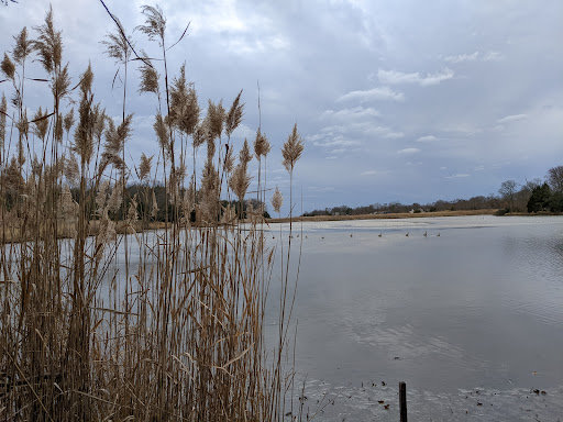 Franklin Point State Park Gallery - United States