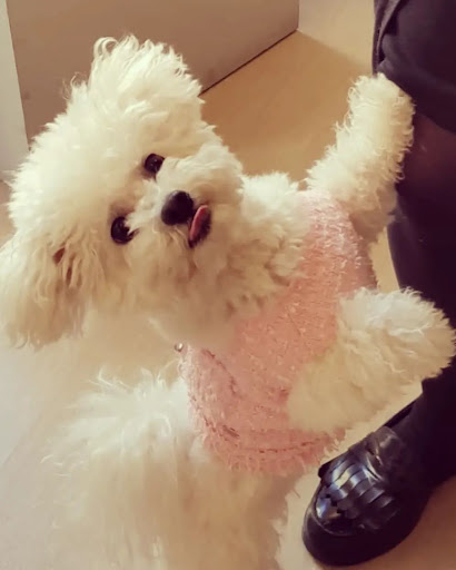 Còco - ALIMENTI E ACCESSORI PER ANIMALI DOMESTICI - Thumbnail