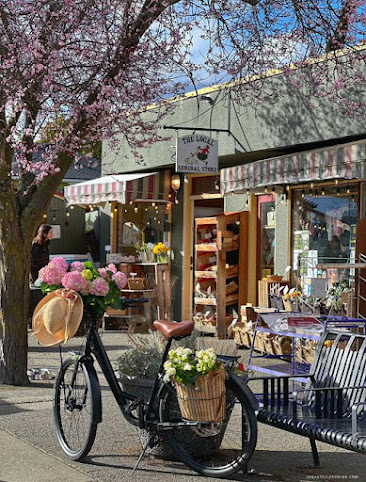 The Local General Store by null