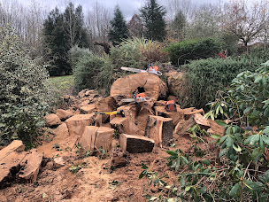 Photo n°26 de Les Beaux arbres Aire sur Adour Elagage à Aire-sur-l'Adour (Service d'élagage)