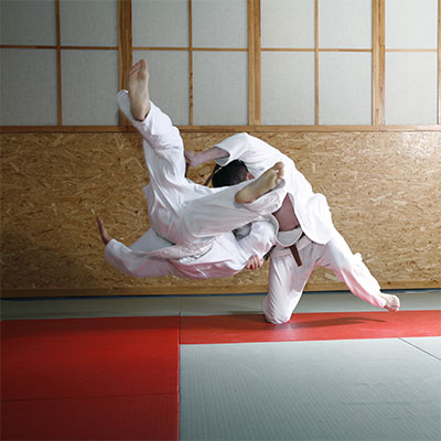 The Budokwai photo 2