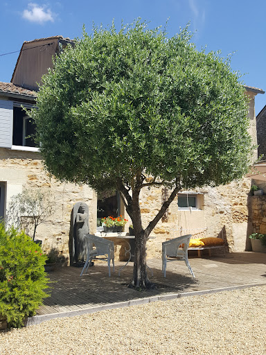 Photo de Chambres d'hôtes: Le Clos de la Pinsonnière à Vaudelnay (49260)