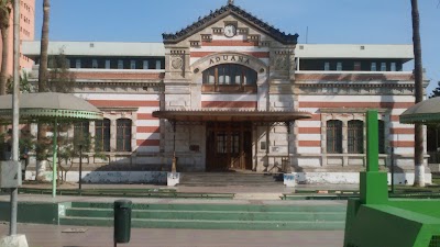 museum