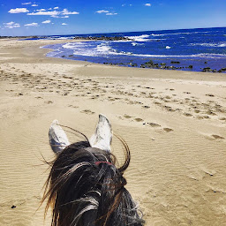 Photo n°18 de promenade à cheval Lou Seden à Saintes-Maries-de-la-Mer (Centre de randonnée équestre)