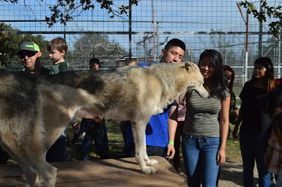 The Greater Wynnewood Exotic Animal Park