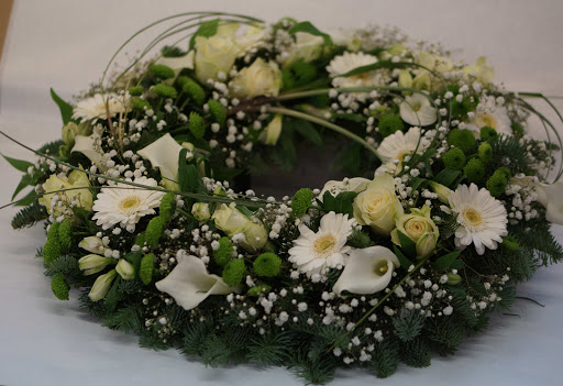 Blumen-Aschoff GbR - Visual