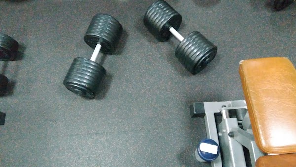 Сокол фитнес клуб курск