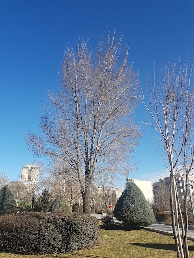 Photos of Abshar Park