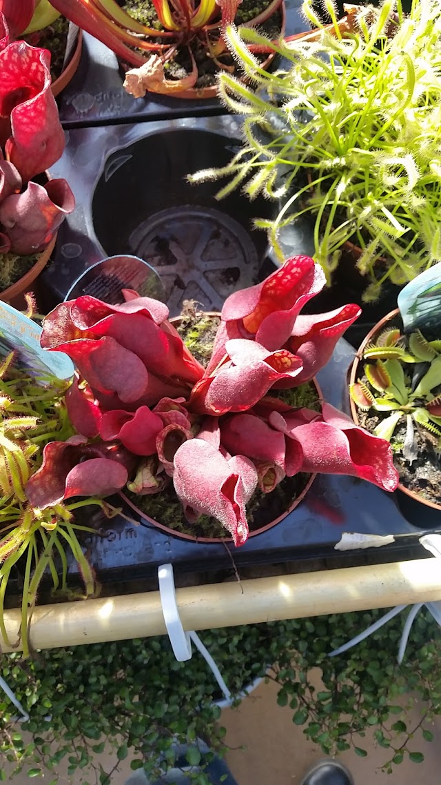 Serres D'Angresse - Fleuristerie - Animalerie - Pépinière