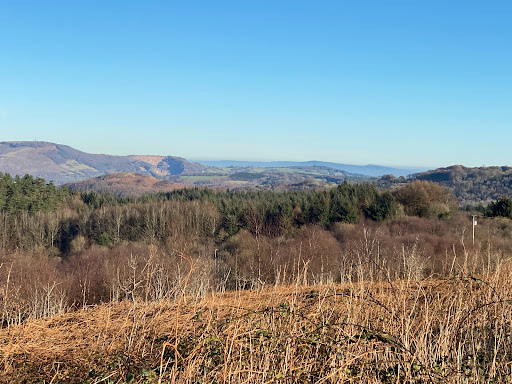 Caerphilly Mountain - Visual