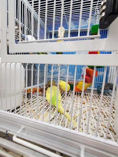 Pet Supplies Plus Winston-Salem - Hanes Mall Blvd - Thumbnail