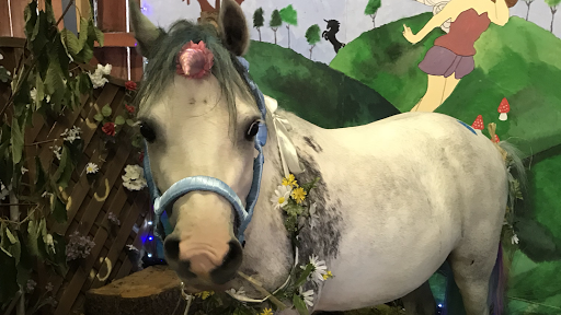 Ash End House Children's Farm