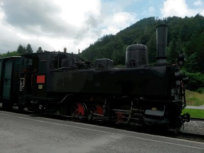 Photos of Schwarzenberg Bahnhof (Bregenzerwaldbahn Museumsbahn)