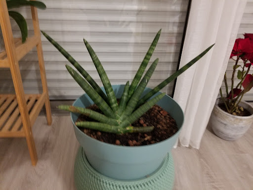 Photo de Résidence Happy Senior Henriade à Jurançon (64110)