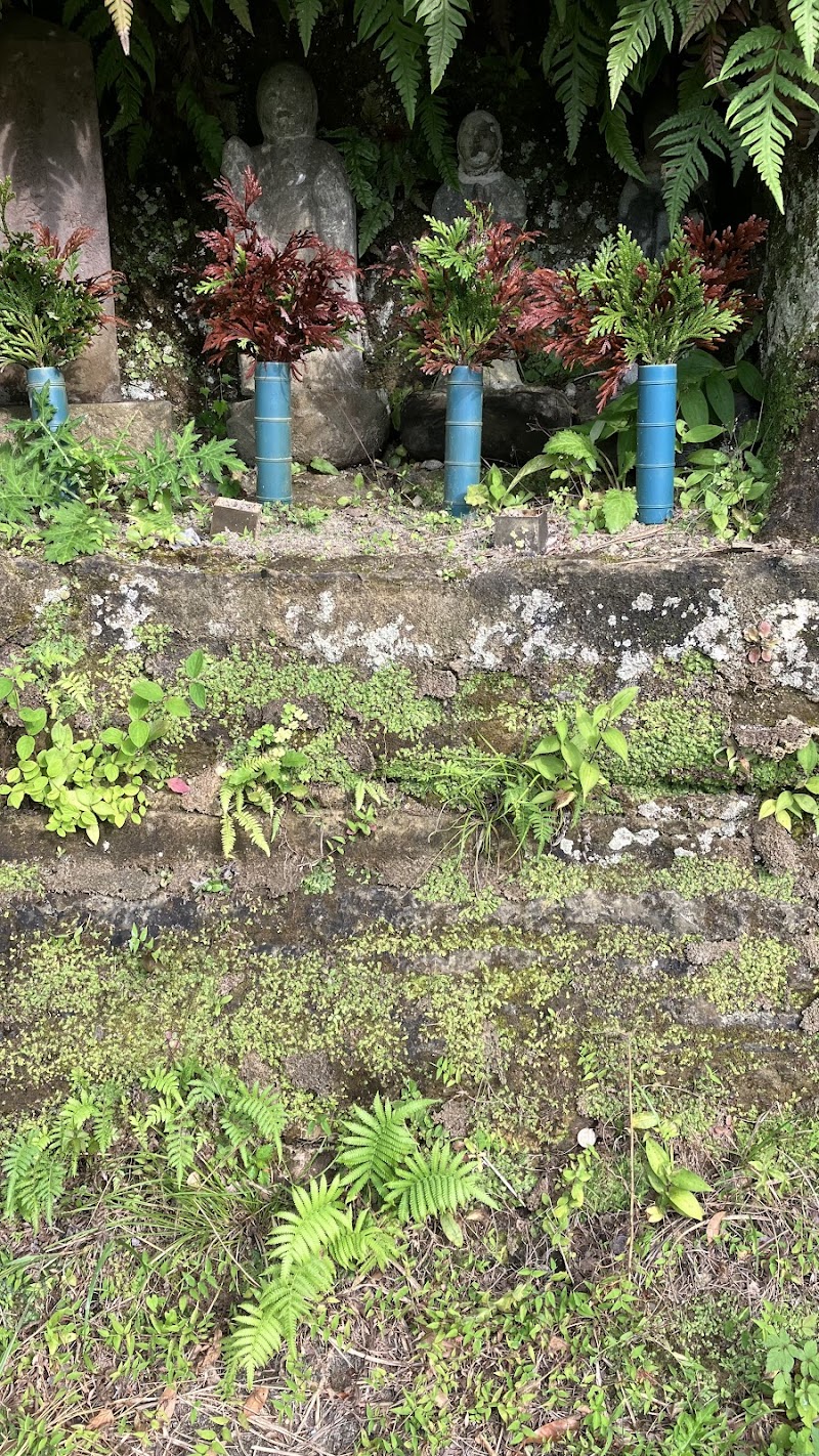 館山チバニアン