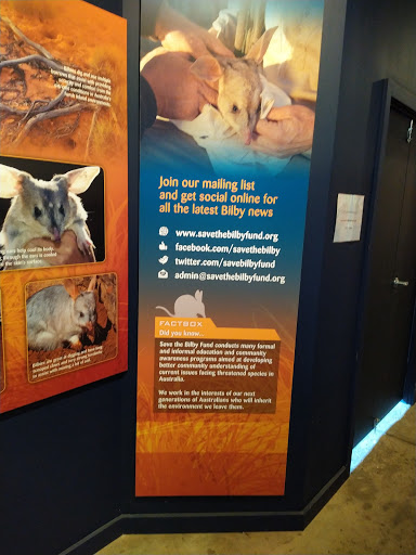 Save The Bilby Fund - Thumbnail