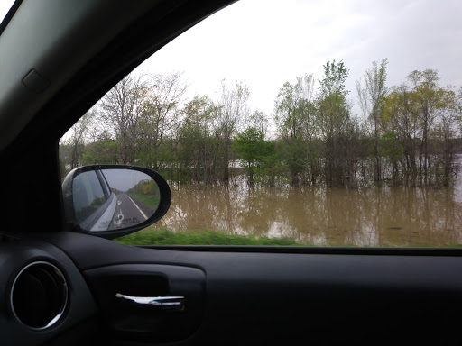 Boeuf Wildlife Management Area - Thumbnail