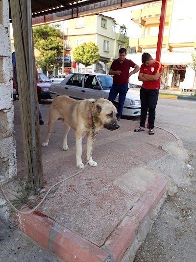 DİNÇ-VET VETERİNER MUAYENEHANESİ