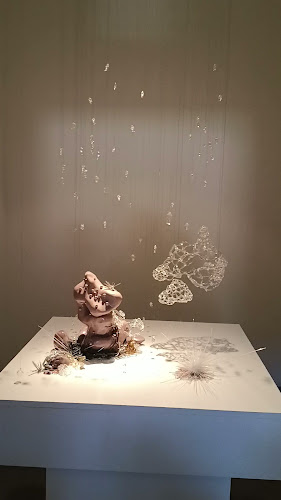 Comentarios y opiniones de Espacio de Arte Contemporáneo