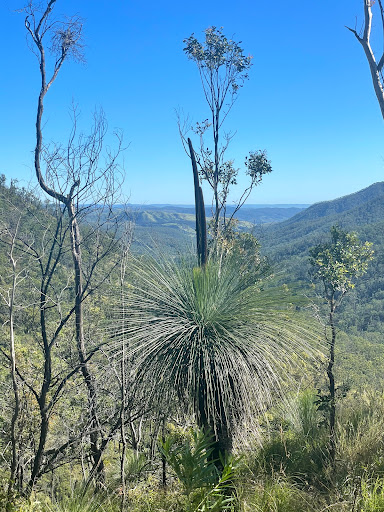 Thornton View Trailhead - Thumbnail