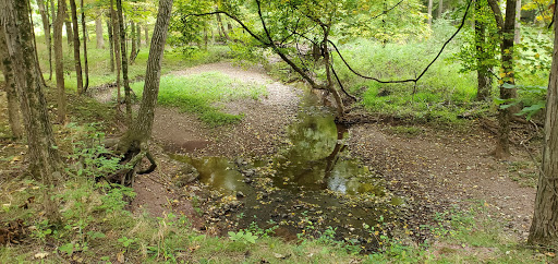 Butler Road Natural Area