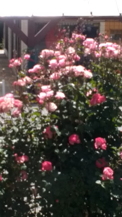 Photos of Galer&iacute;a La Placita