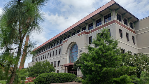 Odum Library - Visual