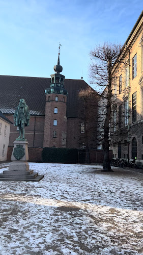 Comentarii opinii despre Det Kongelige Biblioteks Have