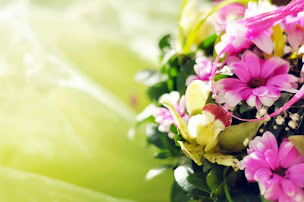 Photo n°4 de Livraison - Transport express à Paris (Service de transport)