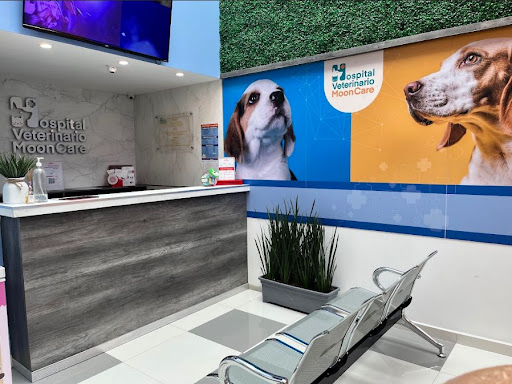 Hospital Veterinario Moon Care
