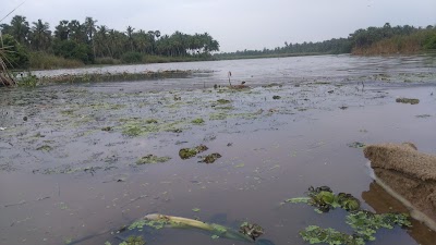 Photos of Thompukandam Village Resort Estate