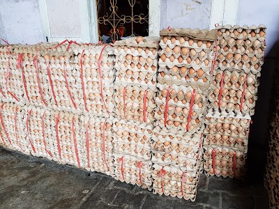 Photos of Genefa Farm