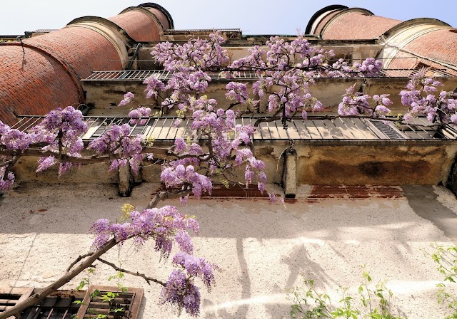 Orto Botanico di Brera