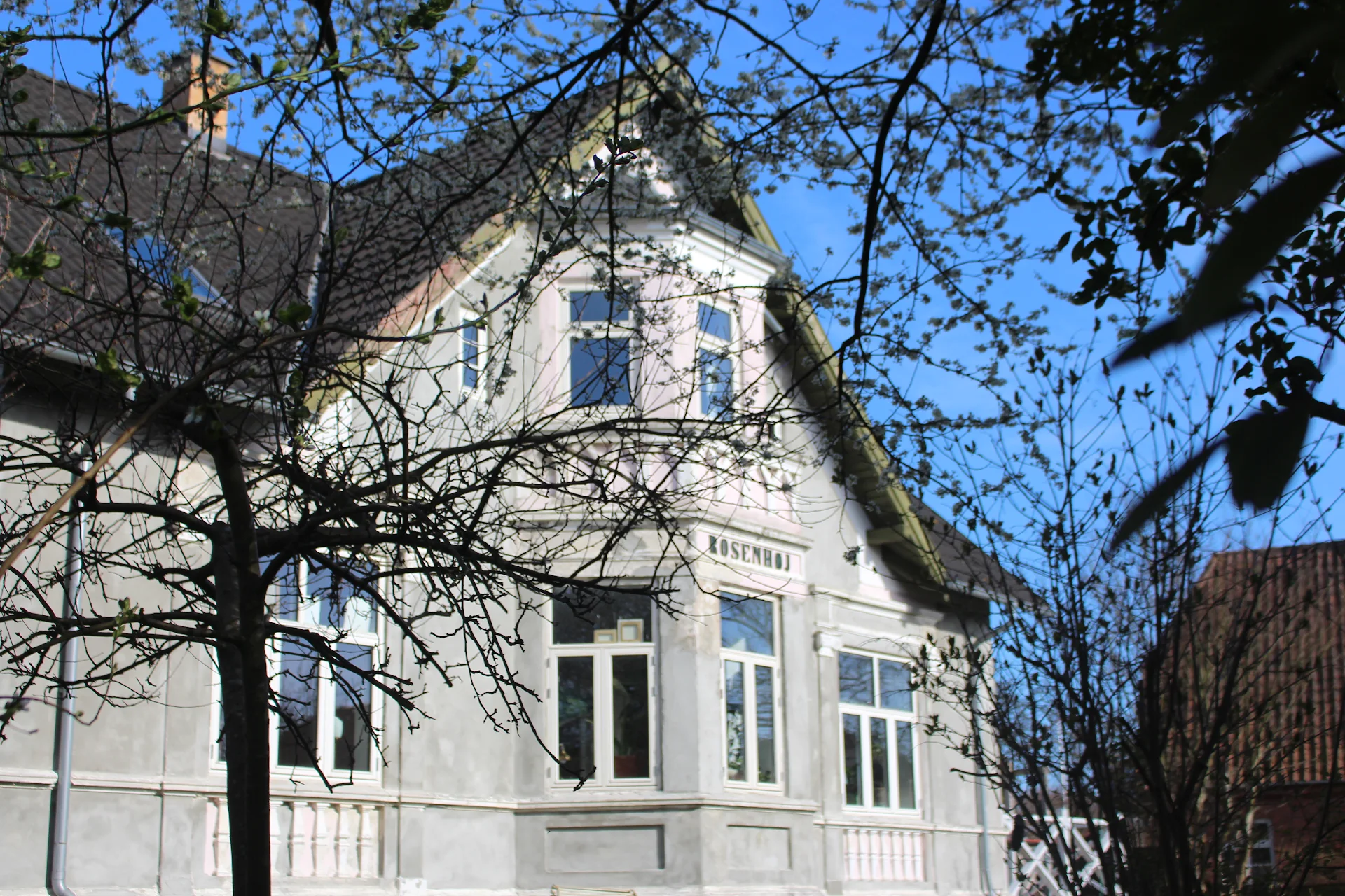 Rosenhøj Bed and Breakfast
