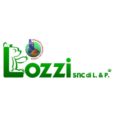 Lozzi - Visual