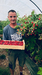 Photo n°7 de La Framboiseraie à Loisin (Grossiste en fruits)