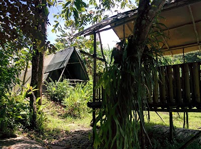 Photos of Sumbiling Eco village