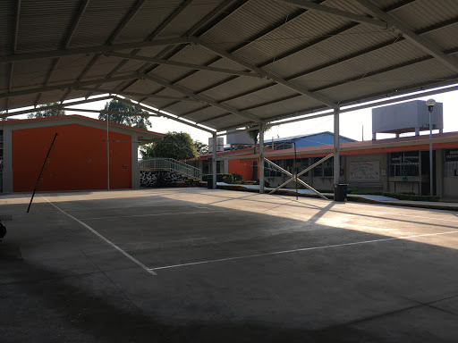 Cecyte Morelos - Visual