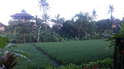 Photos of Ganesha Ubud Inn