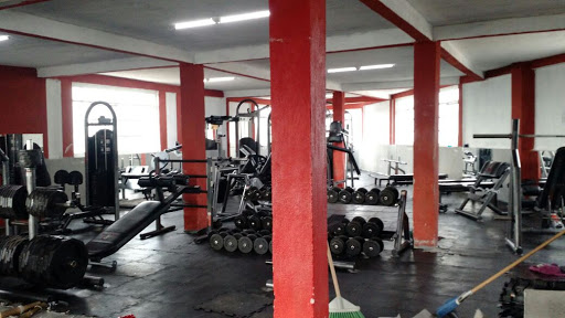 Gimnasio Mixto Xtreme Force - Thumbnail