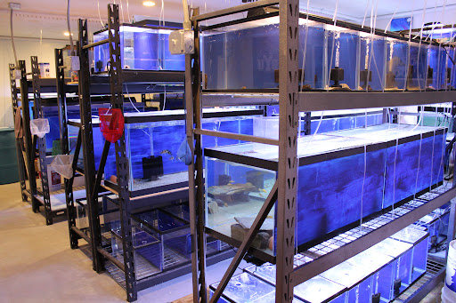 Allred Aquatics Gallery - United States