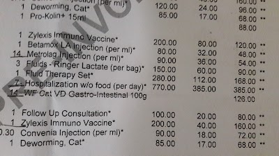Photos of The City Vet Clinic - Al Wasl Branch