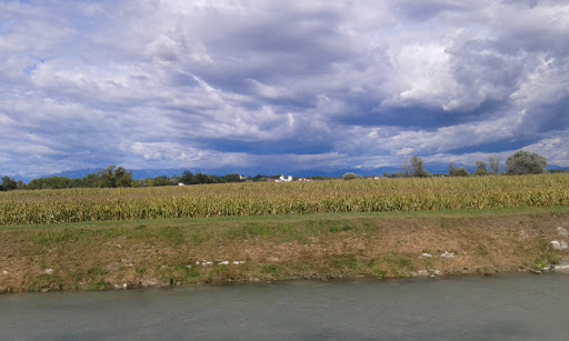 Tabaccheria Alla Fontana - IQOS RESELLER - Thumbnail