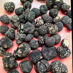 Photo n°42 de Noisette Café et Cuisine à Cannes (Restaurant végétarien)