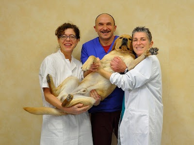 Photos of Ambulatorio Veterinario Meldola