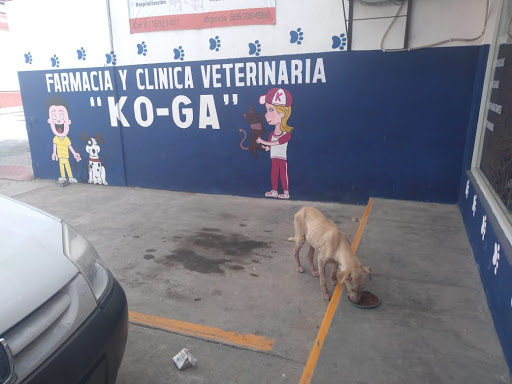 Veterinaria "KO-GA"