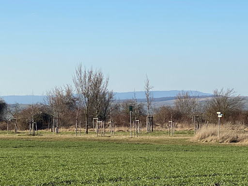 Hochzeits- u. Jubiläumswald