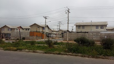 Photos of Entrance to the Forest
