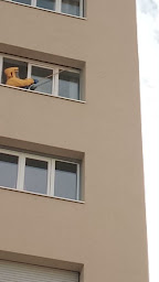 Photo n°7 de AD ASSAINISSEMENT ET SERVICES Débouchage WC & Canalisations / Dératisation / Désinsectisation à Crissey (Service d'entretien et de réparation de fosses septiques)