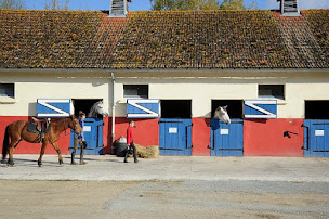 Photo n°15 de UCPA SPORT LOISIRS DU CHESNOY à Amilly (Centre équestre)
